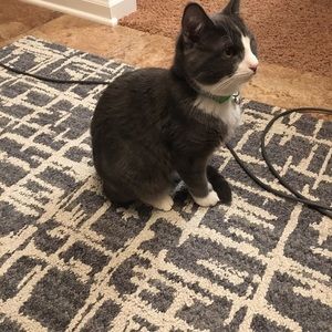 Meet your Posher, Jo